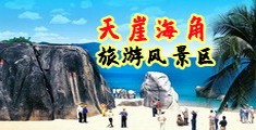操逼网站免费c海南三亚-天崖海角旅游风景区