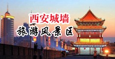 草逼网址视频中国陕西-西安城墙旅游风景区