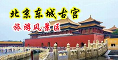 黄色美女大黑B中国北京-东城古宫旅游风景区